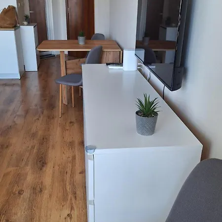 роял палм студио 99 *