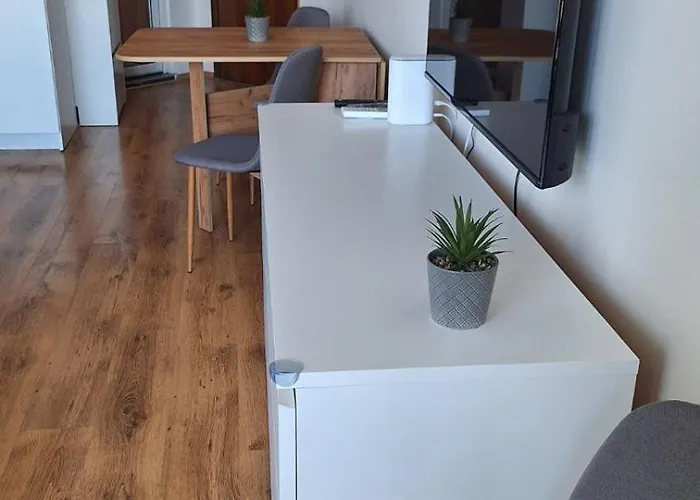 роял палм студио 99 *