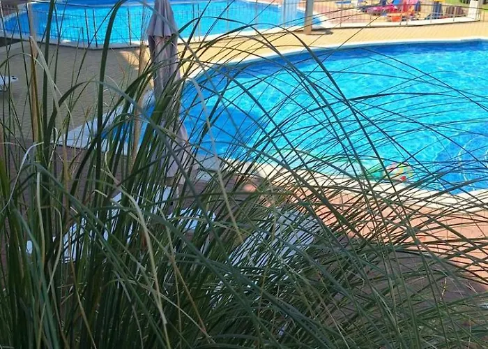 Lägenhet роял палм студио 99 *